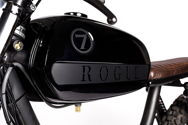 23_03_2015_rogue_puch_03